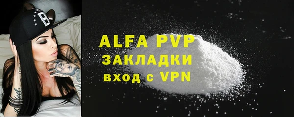 сатива Козловка